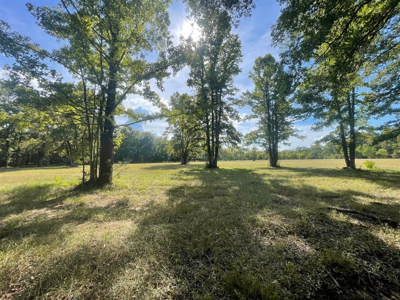 60.5 Acres Convenient to : Lowndesboro : Lowndes County : Alabama