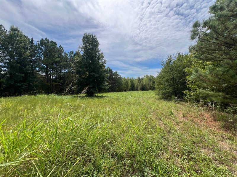 Burcham Creek Mini Farm : Florence : Lauderdale County : Alabama