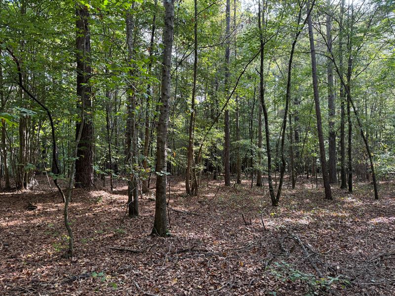 83 Acres, Jackson County, GA : Jefferson : Jackson County : Georgia