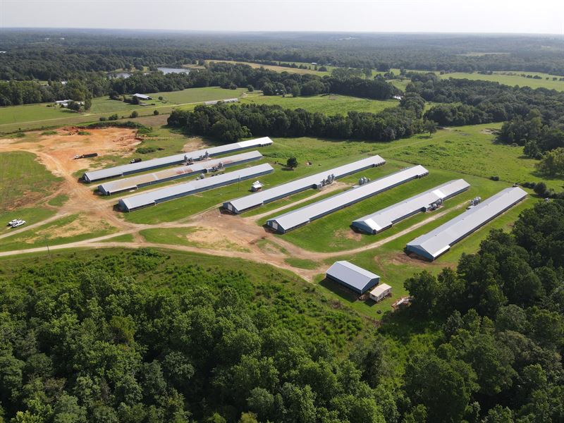 Green Branch Pullet Farm : Geneva : Geneva County : Alabama