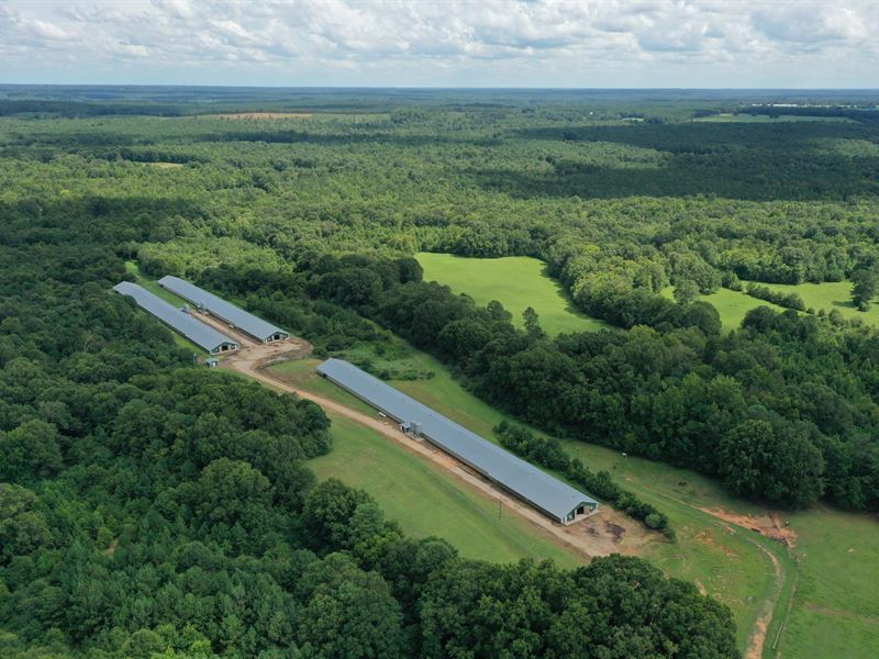 Circle N Broiler Farm : Lexington : Oglethorpe County : Georgia