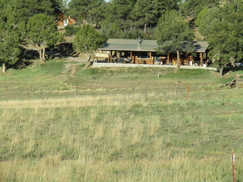 Buck Ridge Ranch : Bayfield : La Plata County : Colorado