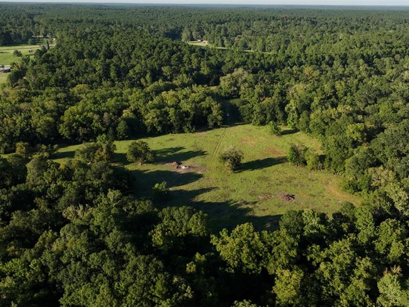 Calfee Ranch 175 : Montgomery : Montgomery County : Texas