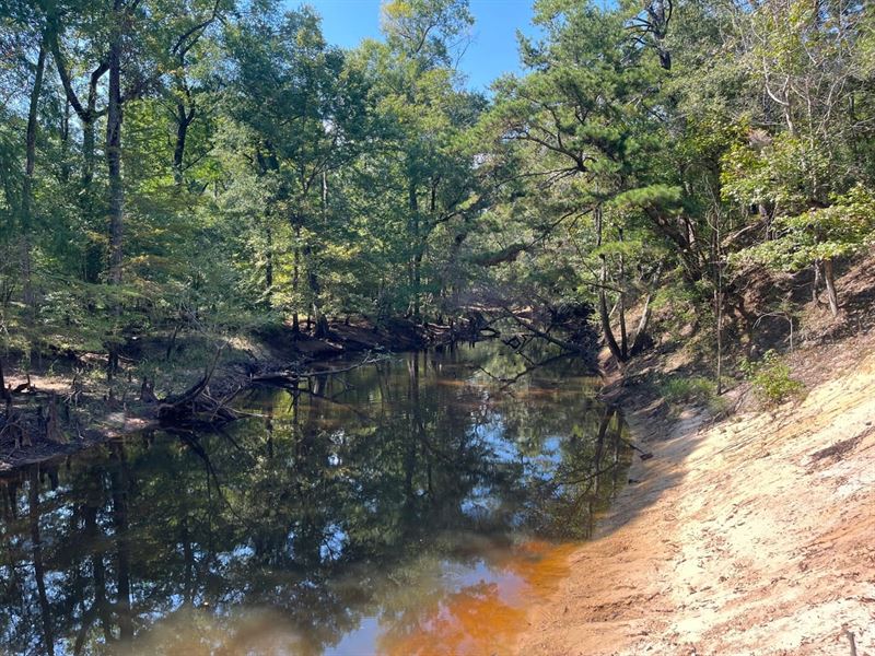 Haiseal Brown Tract : Swainsboro : Emanuel County : Georgia