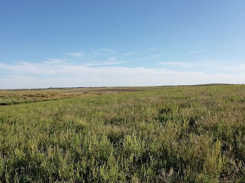 Arkansas River Crp, Investment : Ingalls : Gray County : Kansas