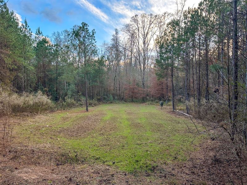 68 Acres Hunting and Timber Inv : Goodwater : Coosa County : Alabama