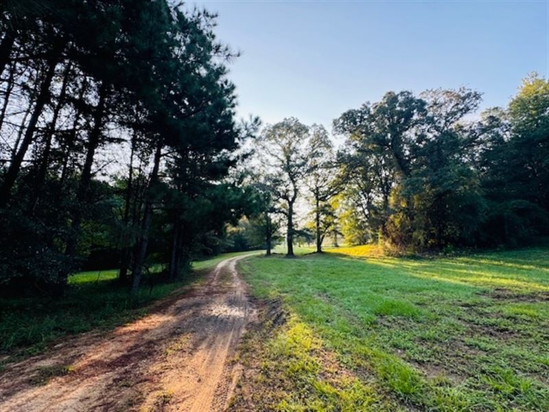 Eclectic Barndominium On 40 Gorgeou : McComb : Pike County : Mississippi