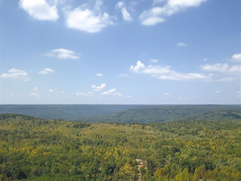 100 Acres with A Cabin in Marion Co : Sewanee : Marion County : Tennessee