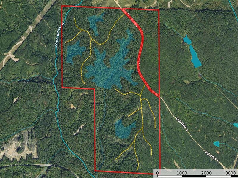 Todd Branch, 411 Acres : Greenwood Springs : Monroe County : Mississippi