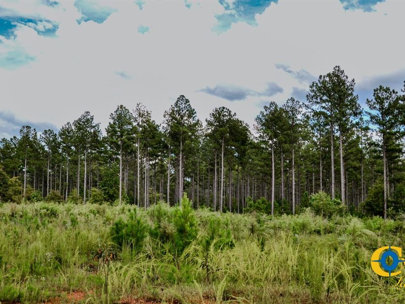 Wilkinsonville Highway Tract : Gaffney : Cherokee County : South Carolina