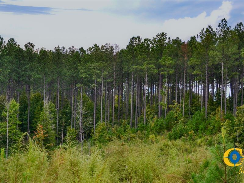 Smith Ford Road Tract : Gaffney : Cherokee County : South Carolina