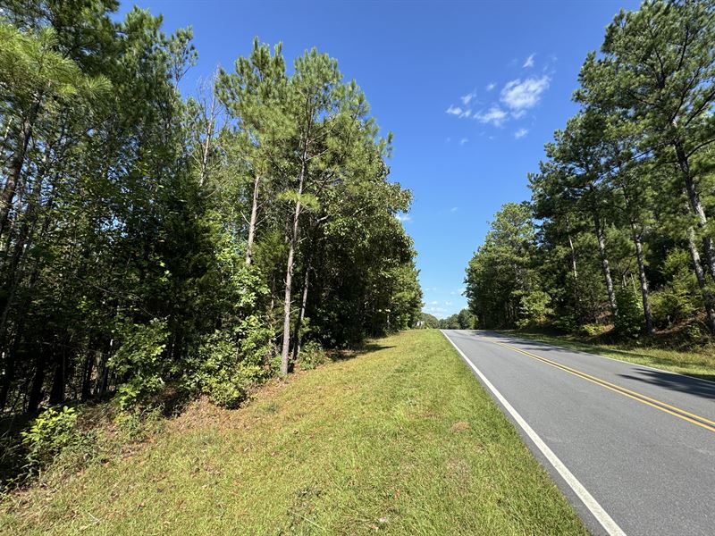 19.47 Ac on Old Susannah Road : Dadeville : Tallapoosa County : Alabama