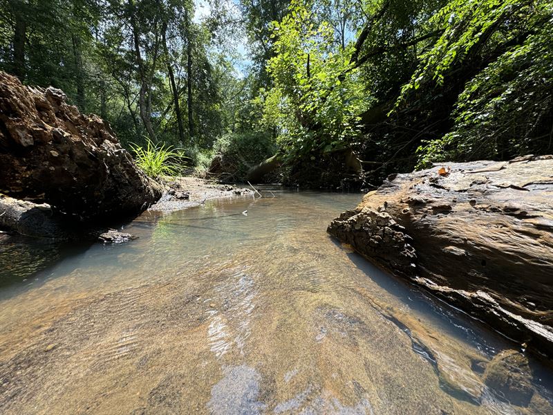 17 Ac, Large Flowing Creek : Lanett : Chambers County : Alabama