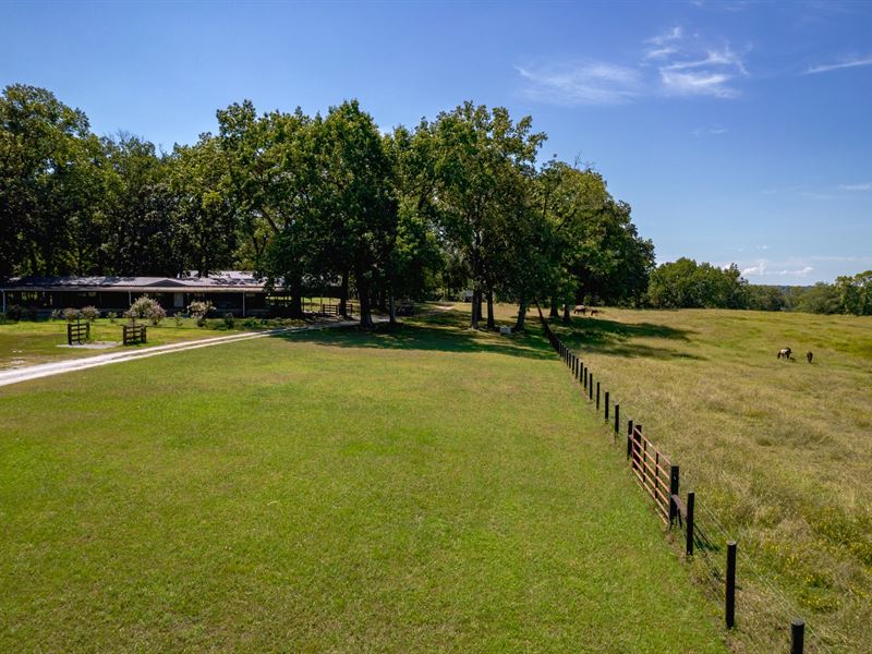 55 Acre Horse Farm, Madison Co. AL : New Market : Madison County : Alabama