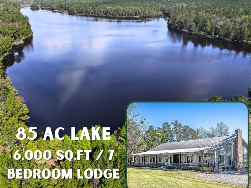 Spring Hill Lakes 3,077 Ac, Barbour : Springhill : Barbour County : Alabama