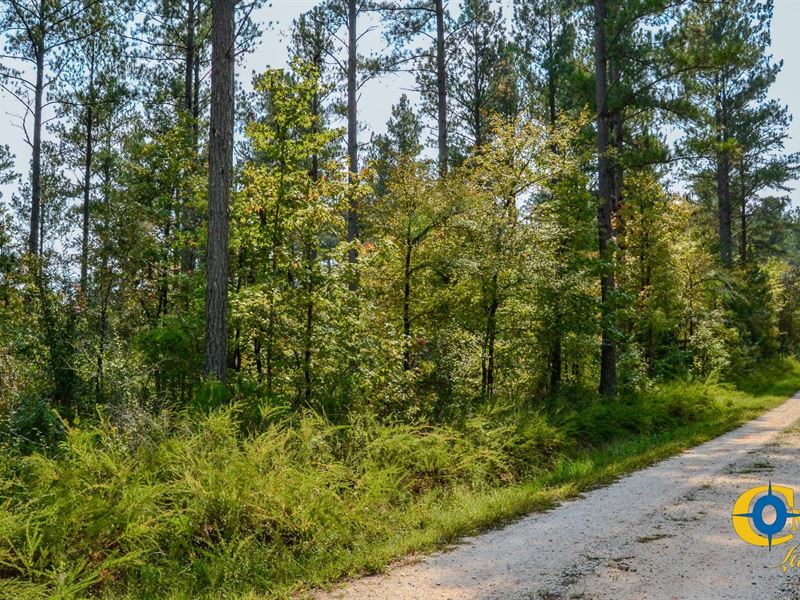 Asbury Road Central Tract : Pacolet : Cherokee County : South Carolina