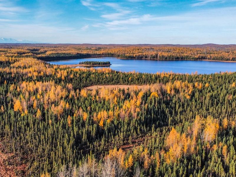 Expansive and Unrestricted Lakefron : Soldotna : Kenai Peninsula Borough : Alaska