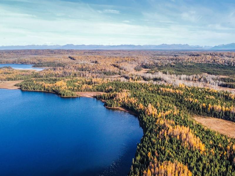 Expansive and Unrestricted Lakefron : Soldotna : Kenai Peninsula Borough : Alaska