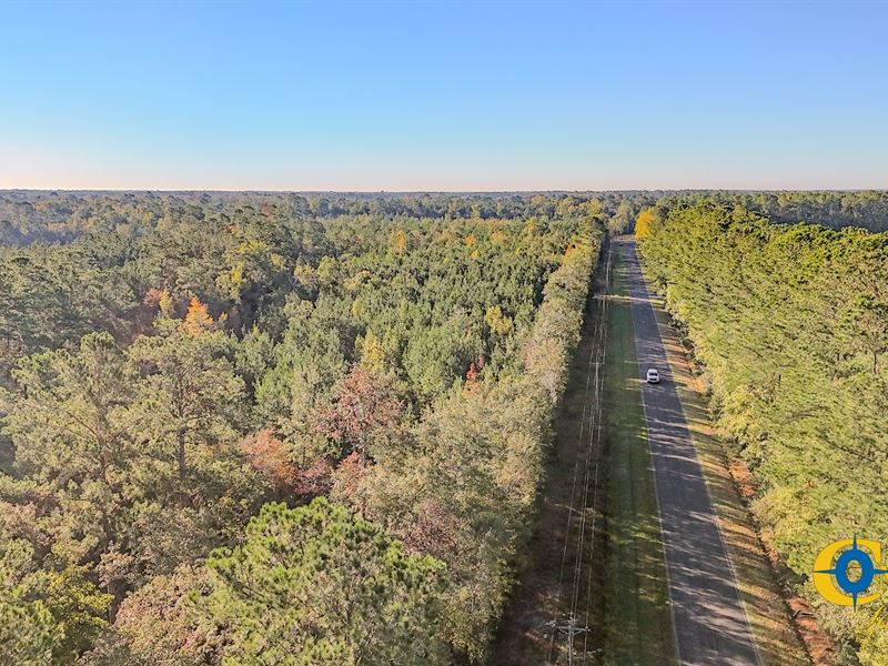 Beach Tract : Colleton : Colleton County : South Carolina