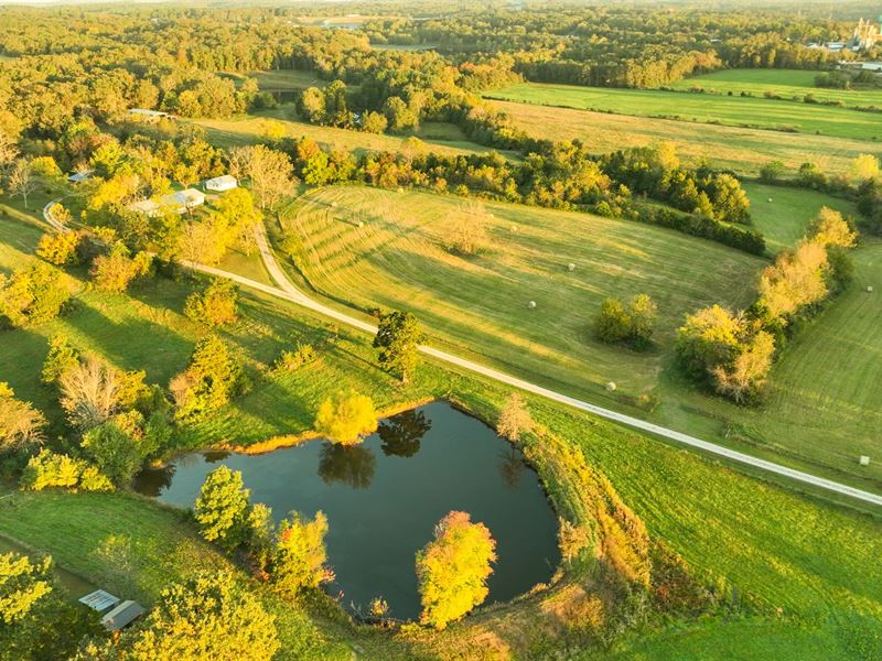 Walnut Springs Ranch : Willow Springs : Howell County : Missouri