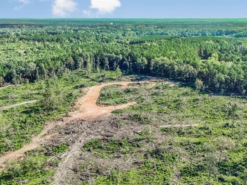 Small Hunting Tract in Amite County : Liberty : Amite County : Mississippi