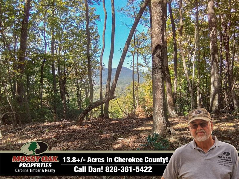 13.87 Acre Package / 2 Lots Plus : Murphy : Cherokee County : North Carolina