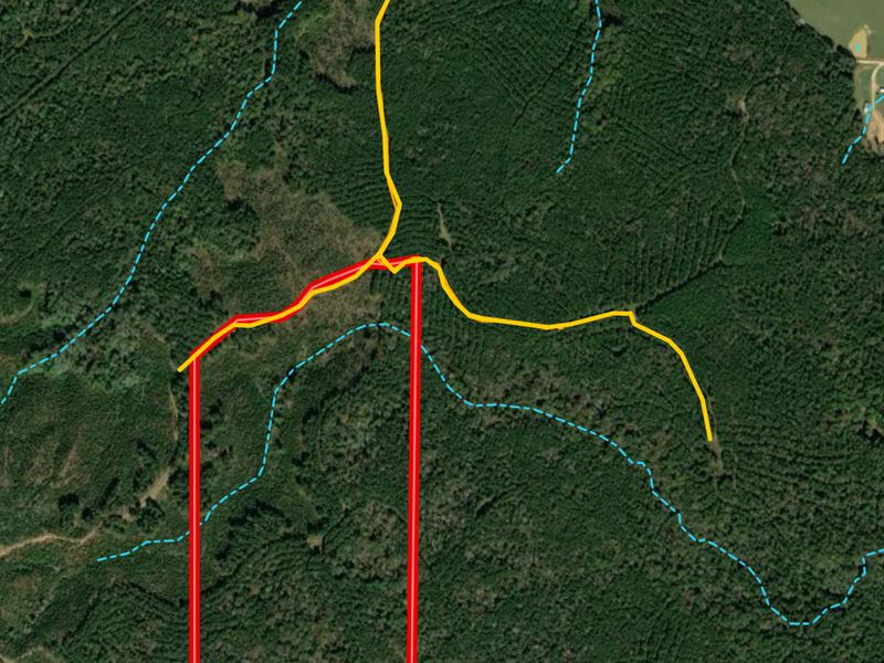 Excellent Hunting, Live Creek : Puckett : Rankin County : Mississippi