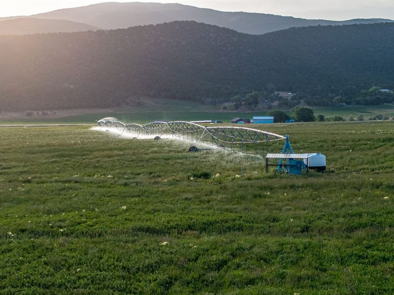 Bostwick Park Irrigated Land : Montrose : Montrose County : Colorado