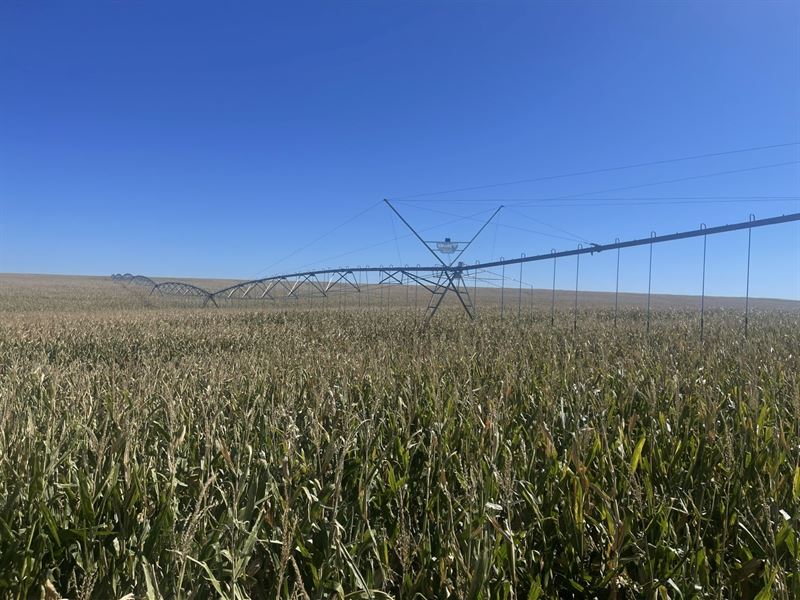 Cheyenne 57 Farm : Cheyenne Wells : Cheyenne County : Colorado