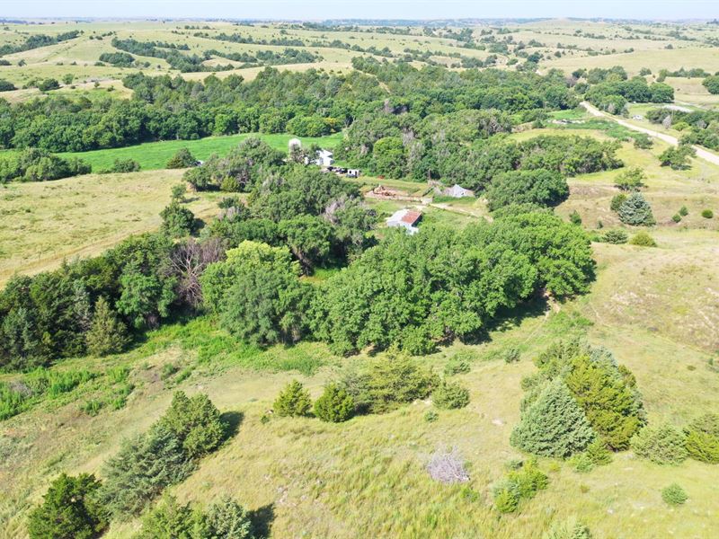 80 Acres, Lincoln County, Wellfleet : Wellfleet : Lincoln County : Nebraska