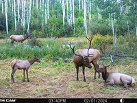Buckhorn Lakes Hunting Ranch : Montrose : Colorado