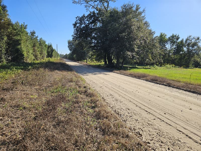 Scenic Dirt Road : Gordon : Houston County : Alabama