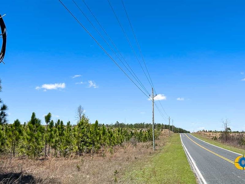 Lockhart Tract : Kershaw : Kershaw County : South Carolina