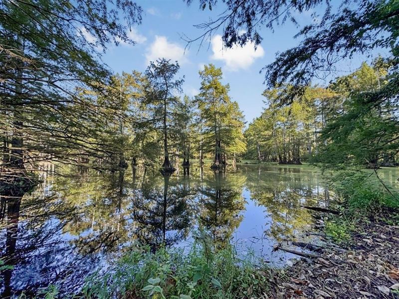 Duck Hunting Paradise for Sale : West Monroe : Ouachita Parish : Louisiana