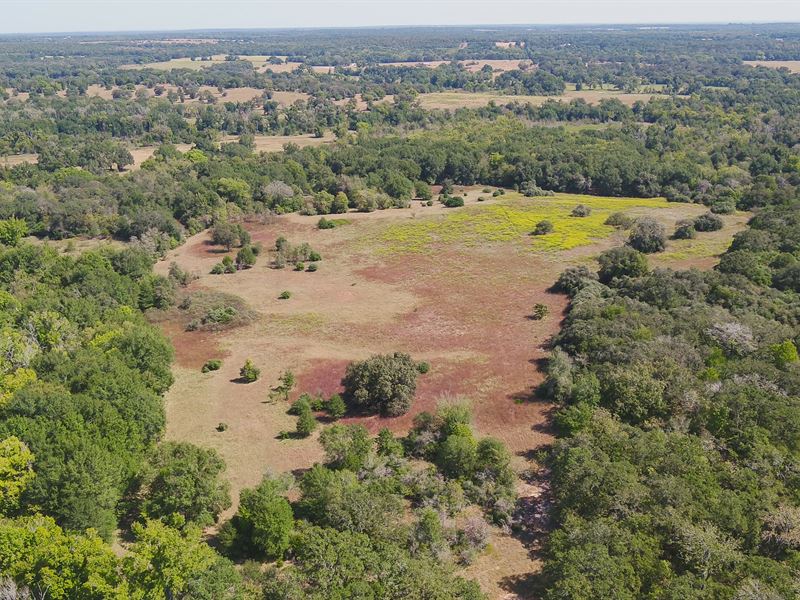 109 Acres in Burleson County : Caldwell : Burleson County : Texas