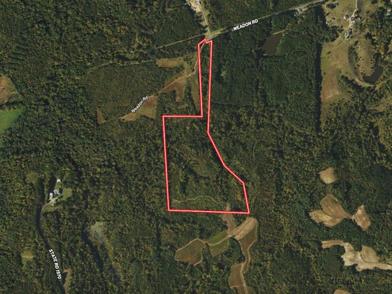 Updated, 41.27 Acres of Recreation : Blanch : Caswell County : North Carolina