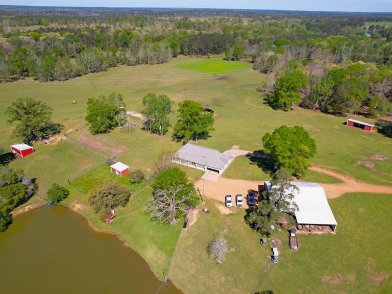 192 Acres Of Land with 3 Br Hunting : Liberty : Amite County : Mississippi