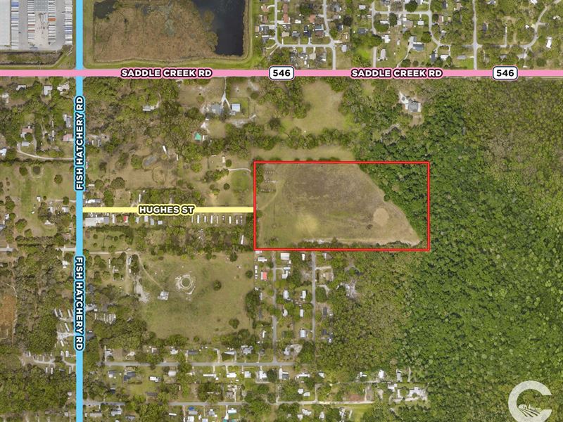 20.13 Acres of Residential Land : Lakeland : Polk County : Florida