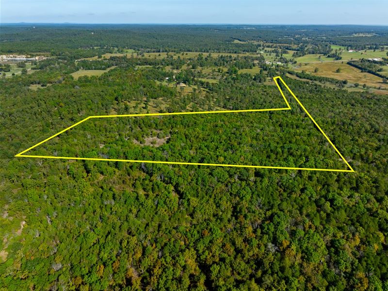 26.5 Acres, Hunting Land, Woode : Ash Flat : Sharp County : Arkansas