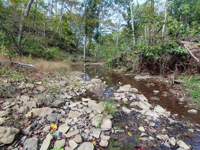 Cow Run Rd, 59 Acres, Washington : Marietta : Washington County : Ohio