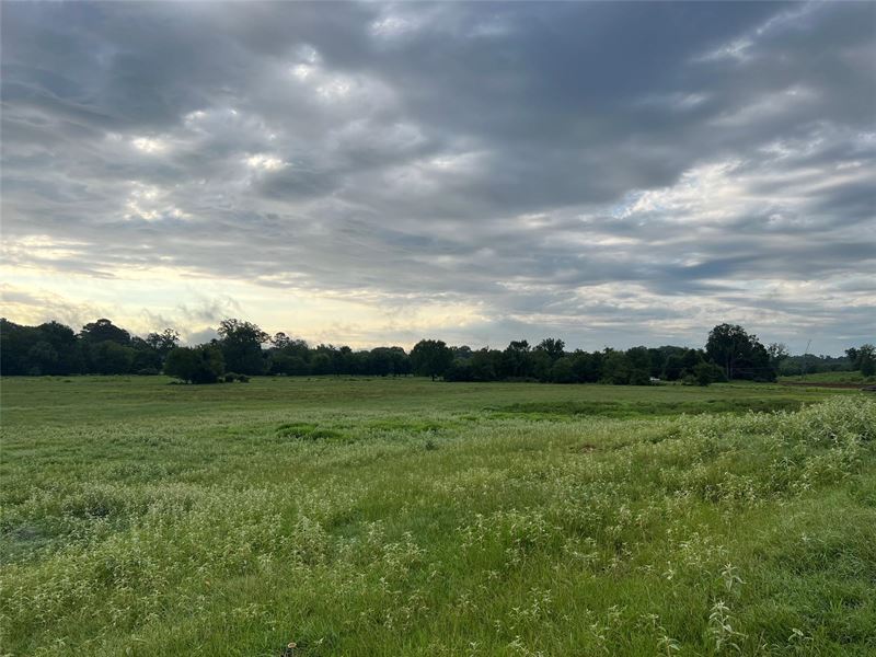 42 Acre Private Oasis : De Kalb : Bowie County : Texas