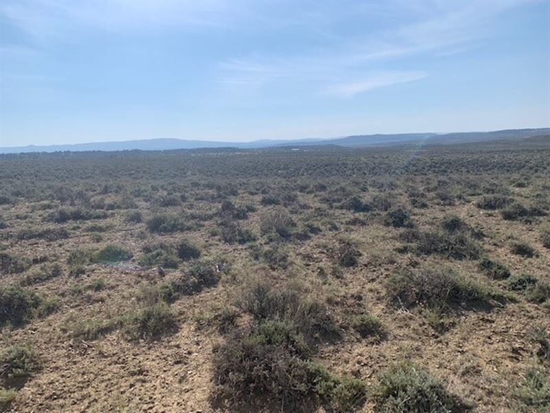 Rancho Delvado 10 : Tierra Amarilla : Rio Arriba County : New Mexico