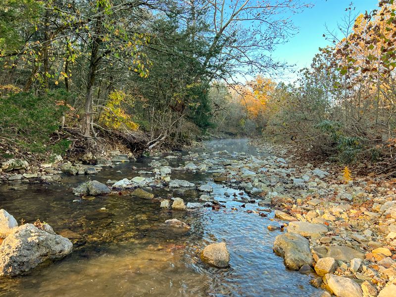 Barren Fork 155 : Gainesville : Ozark County : Missouri