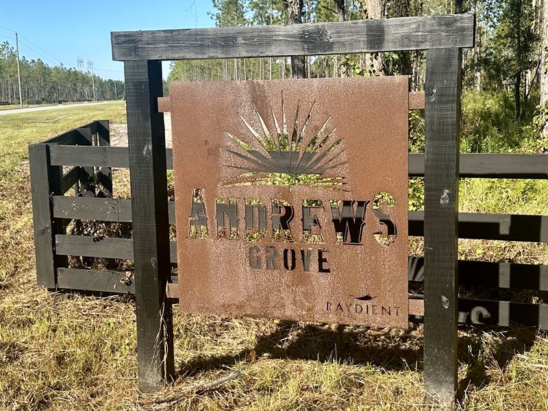 Andrew's Grove Lots 12 & 13 : Hilliard : Nassau County : Florida