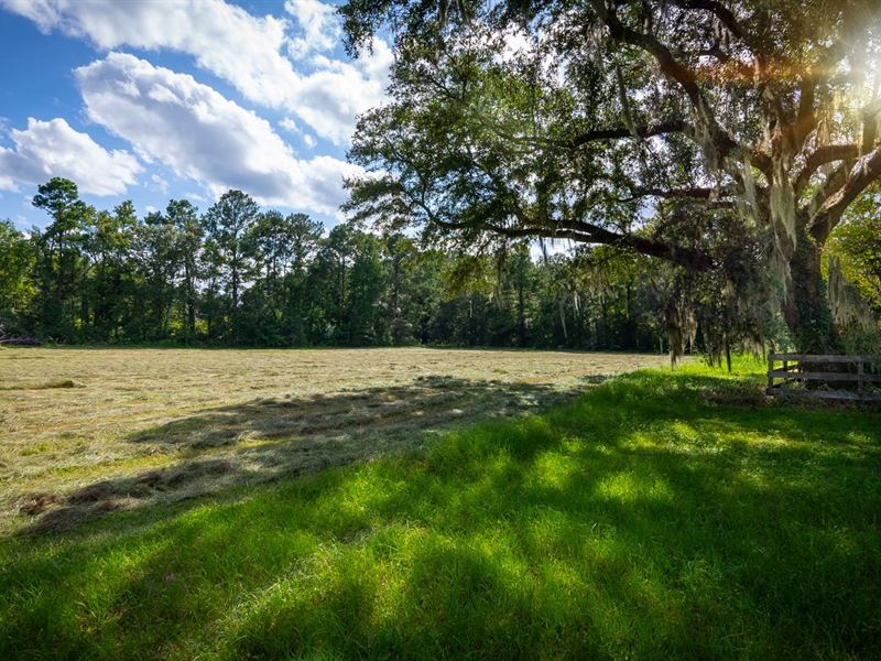 Bluefield Plantation : Jacksonboro : Colleton County : South Carolina