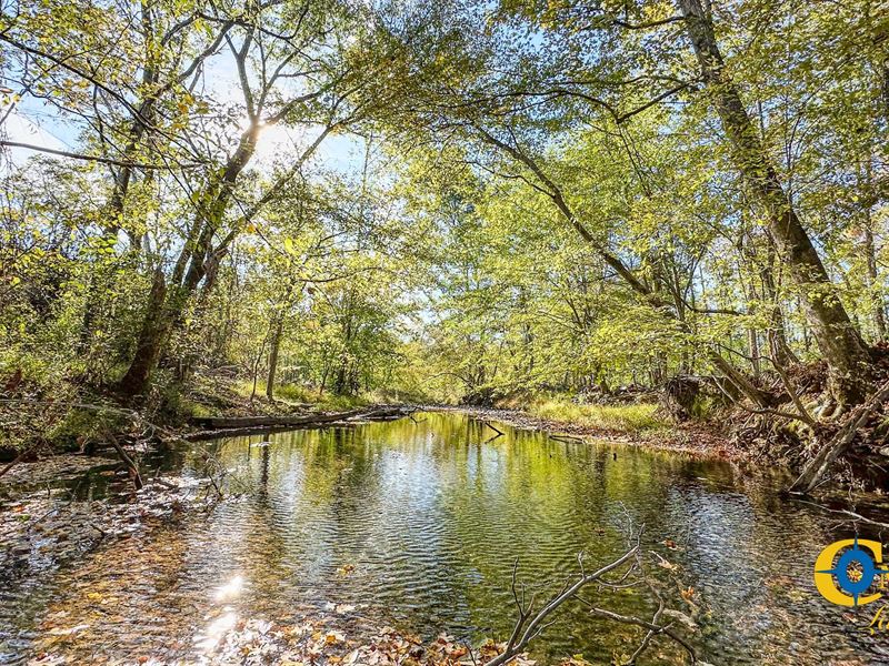 Middle Fork East Tract : McEwen : Hickman County : Tennessee