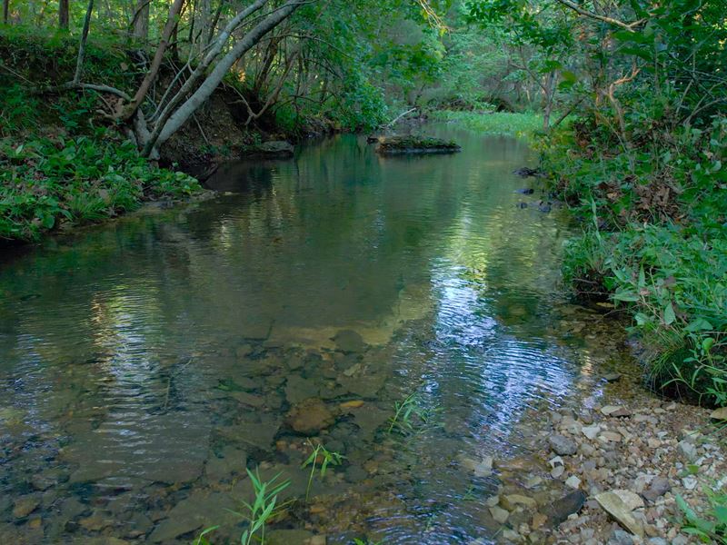 Half Mile Ridge : West Plains : Howell County : Missouri