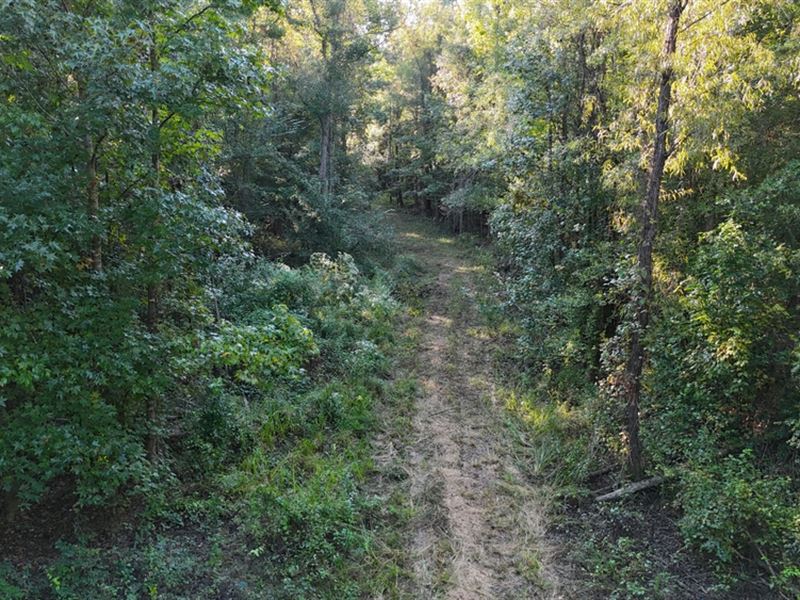 La, Caldwell 40 Acres : Kelly : Caldwell Parish : Louisiana