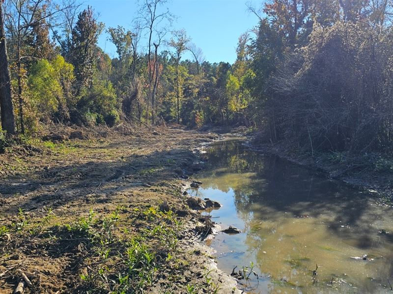 183 Acres in Carroll County, MS : Vaiden : Carroll County : Mississippi