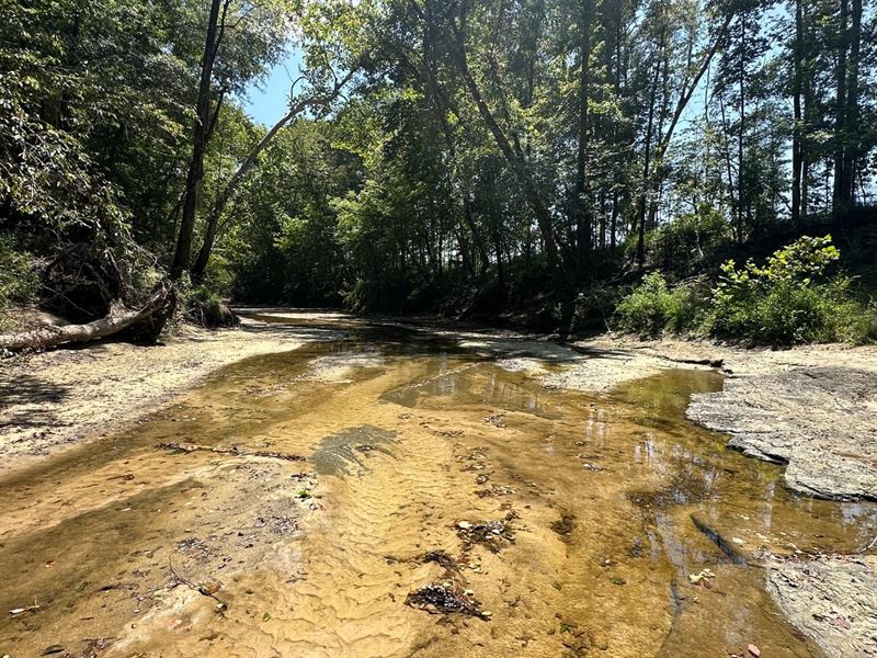 Dry Cedar Creek Tract, 532 Acres : Minter : Lowndes County : Alabama